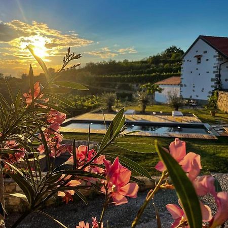 Skerlj Wine Estate Guest House Tomaj ภายนอก รูปภาพ