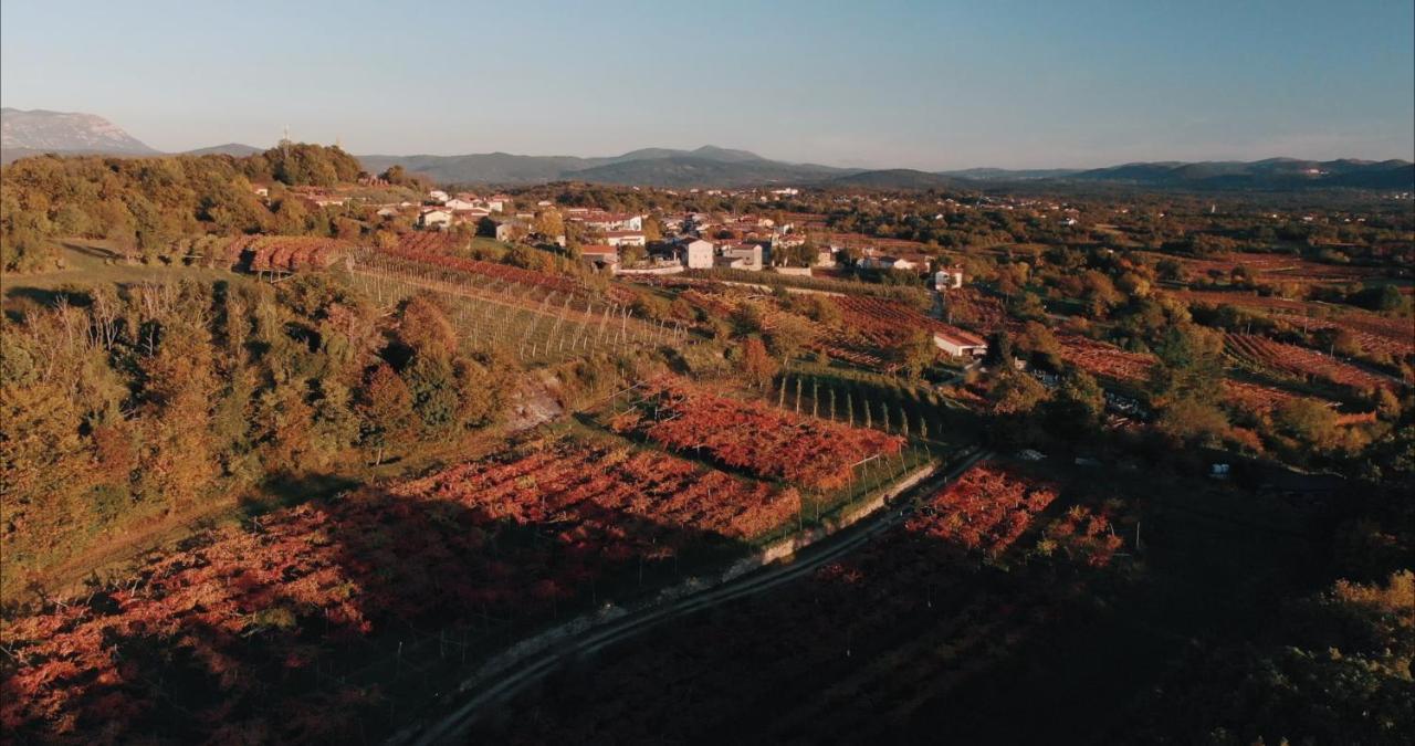 Skerlj Wine Estate Guest House Tomaj ภายนอก รูปภาพ